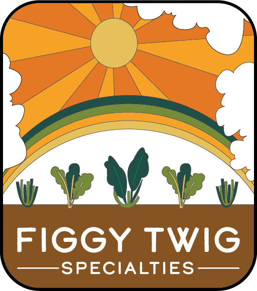 Figgy Twig